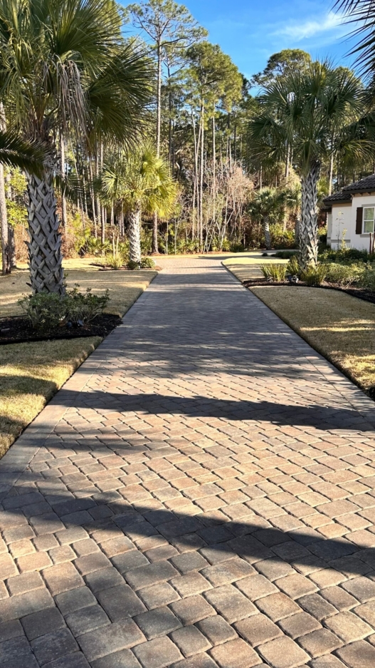 Pavers vs Concrete Driveways in Florida