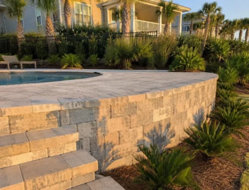 DIY vs. Professional Paver Installation in Florida: What It Really Costs and Risks