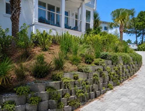 Do Pavers Really Outlast Concrete in Florida? A Durability Test for Coastal Climates